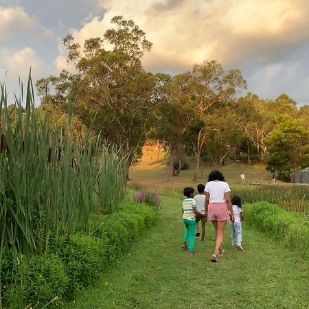 רד היל סאות' Iluka Retreat Glamping Village מראה חיצוני תמונה