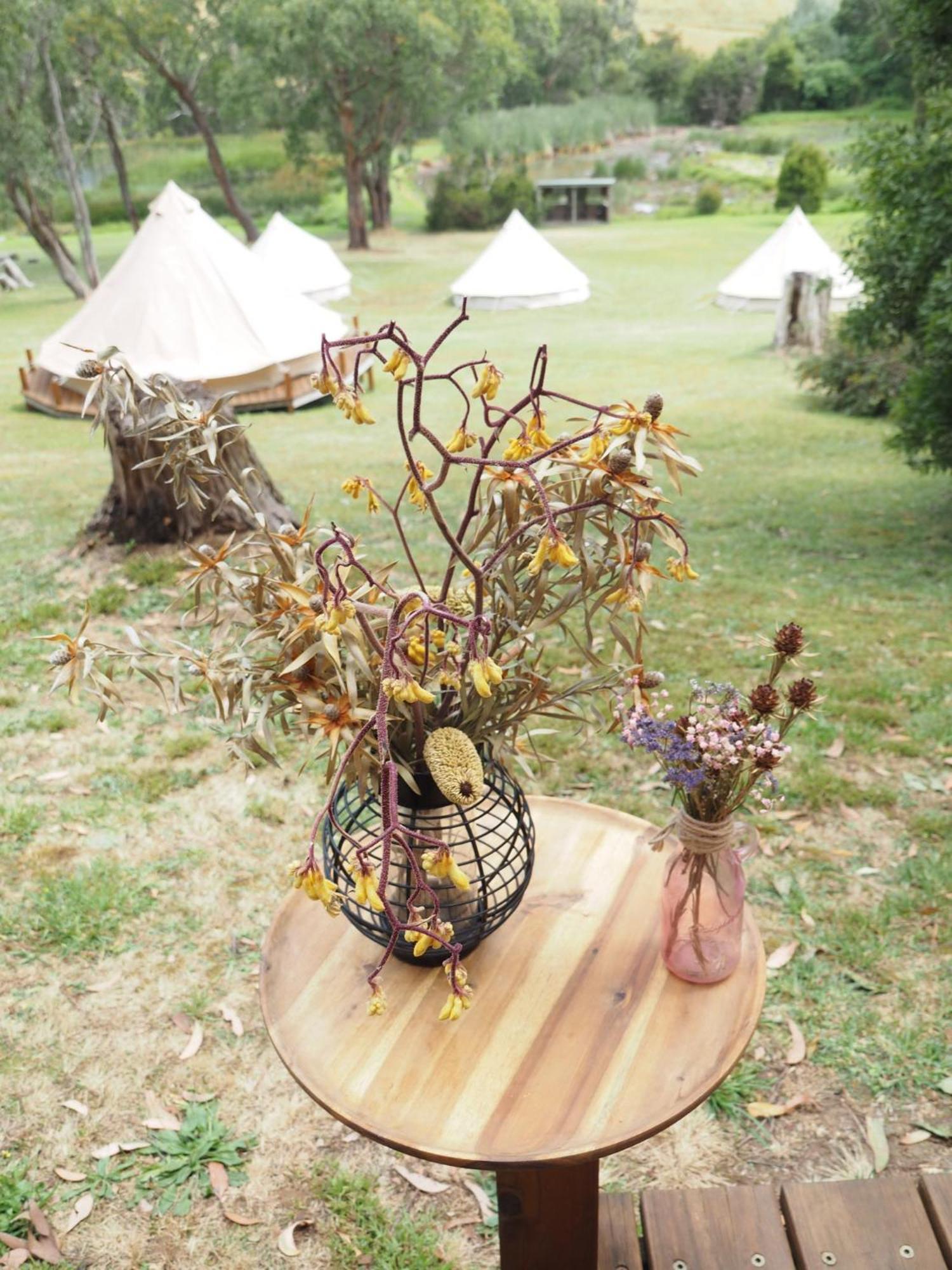 רד היל סאות' Iluka Retreat Glamping Village מראה חיצוני תמונה