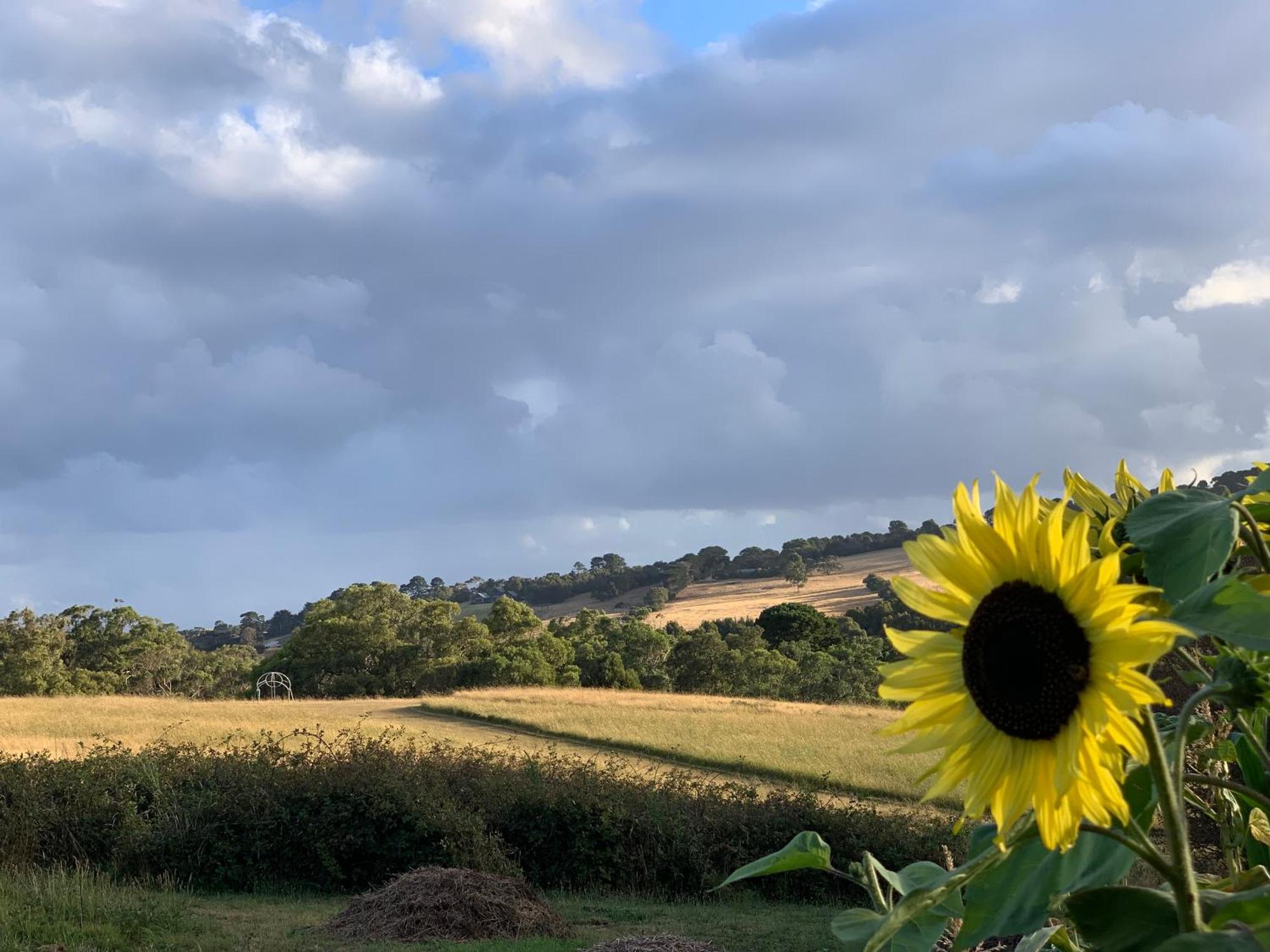 רד היל סאות' Iluka Retreat Glamping Village מראה חיצוני תמונה